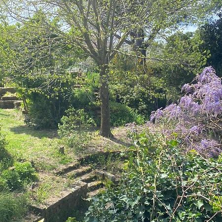 פיטיליאנו Agriturismo Solidor מראה חיצוני תמונה