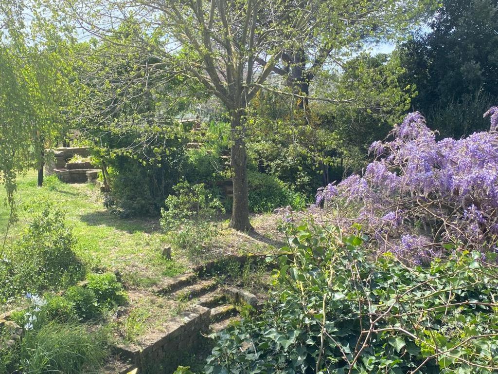 פיטיליאנו Agriturismo Solidor מראה חיצוני תמונה
