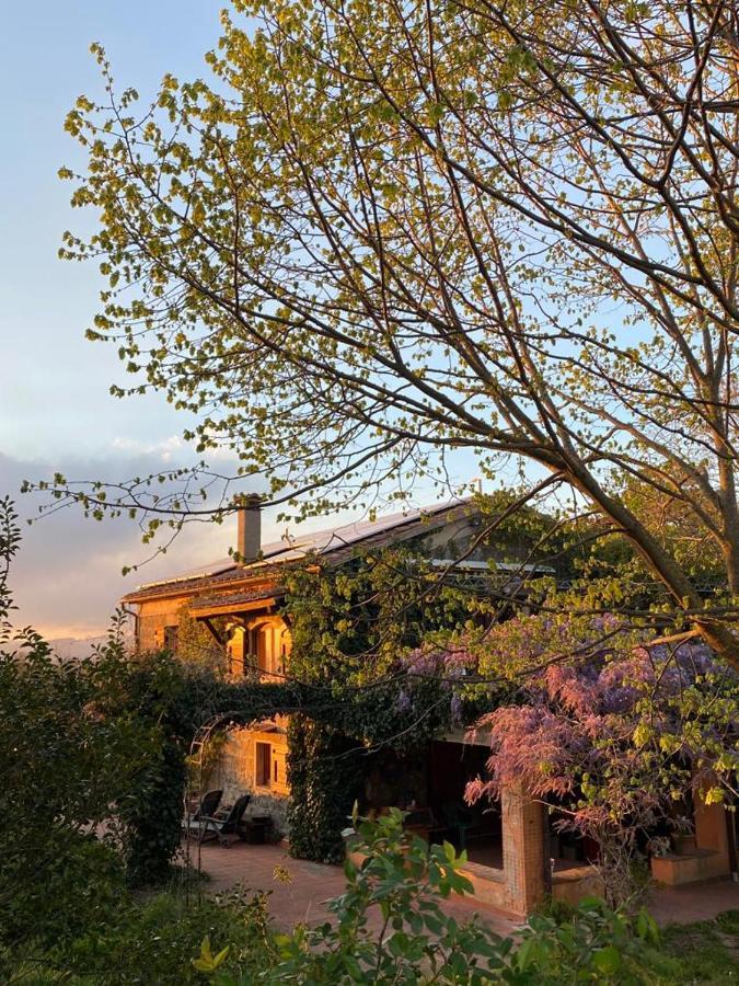 פיטיליאנו Agriturismo Solidor מראה חיצוני תמונה
