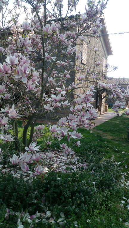 פיטיליאנו Agriturismo Solidor מראה חיצוני תמונה