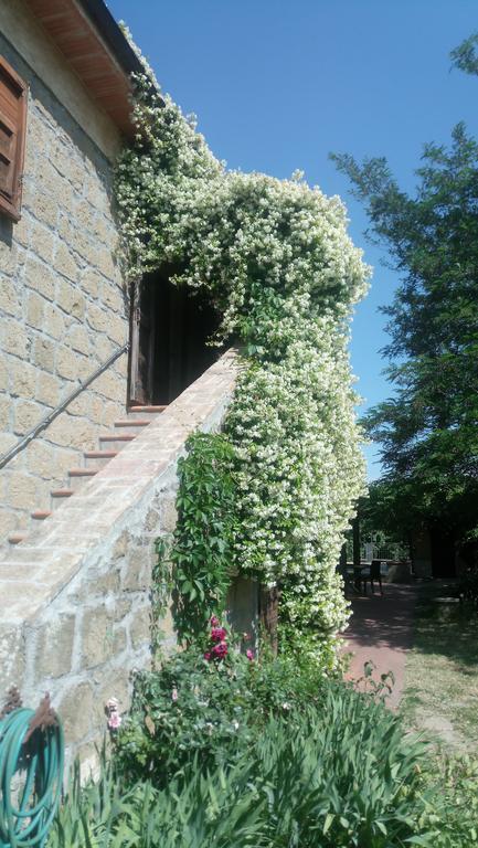 פיטיליאנו Agriturismo Solidor מראה חיצוני תמונה